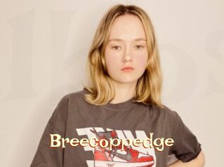 Breecoppedge