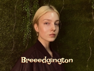 Breeedgington