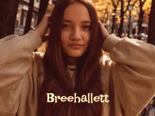 Breehallett