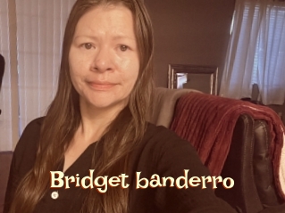 Bridget_banderro