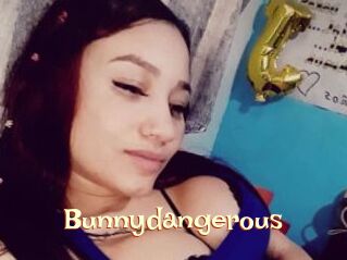Bunnydangerous