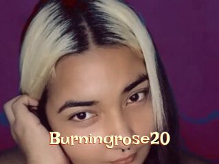 Burningrose20