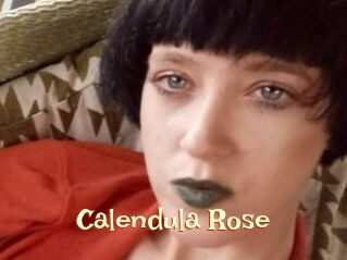 Calendula_Rose