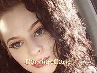 Candice_Cane