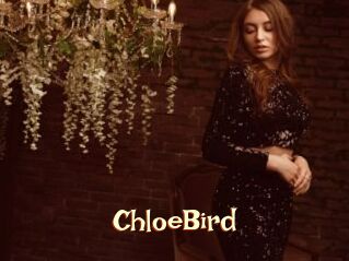 ChloeBird