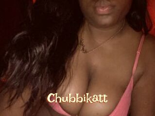 Chubbikatt