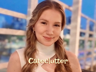 Cateclutter