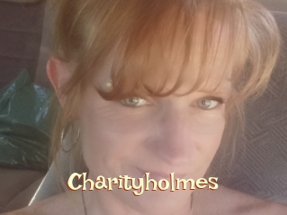 Charityholmes