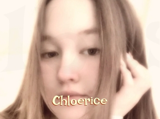 Chloerice