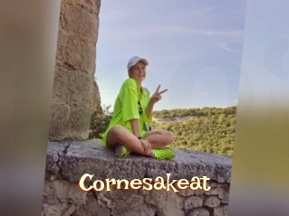 Cornesakeat