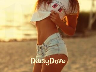 DaisyDove