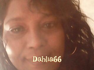 Dahlia66