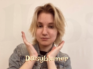 Daisyblumer