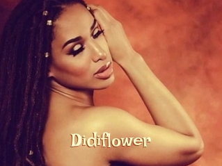 Didiflower