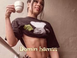 Domin_hamss