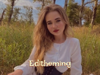 Editheming