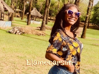 Elainecarsim
