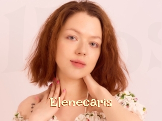 Elenecaris