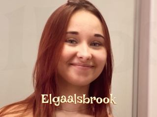 Elgaalsbrook