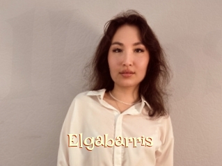 Elgabarris