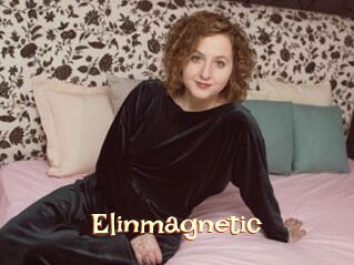 Elinmagnetic