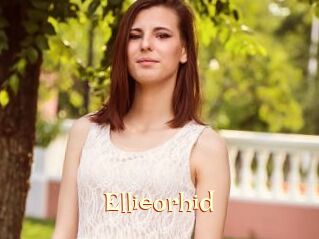 Ellieorhid