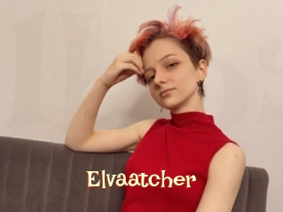 Elvaatcher