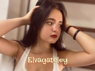 Elvagateley