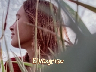 Elvagrise