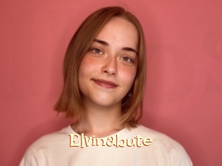 Elvinabute