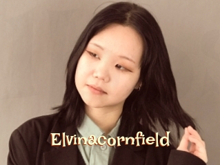 Elvinacornfield