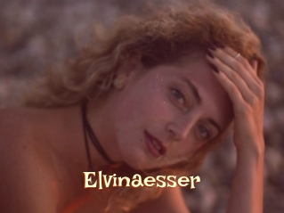Elvinaesser