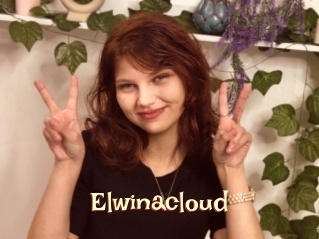 Elwinacloud