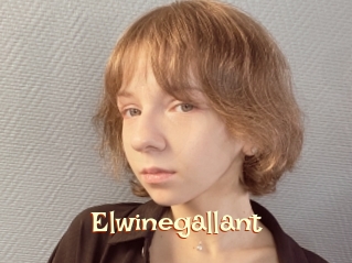 Elwinegallant