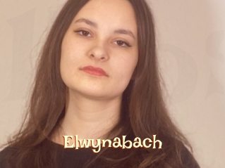 Elwynabach
