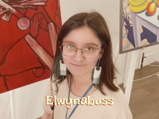 Elwynabuss