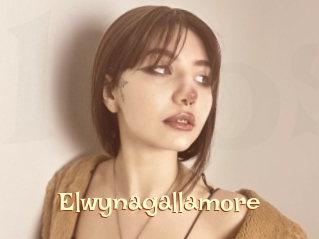 Elwynagallamore