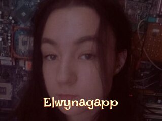 Elwynagapp