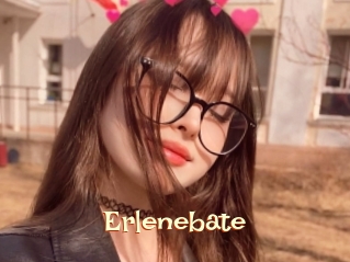 Erlenebate