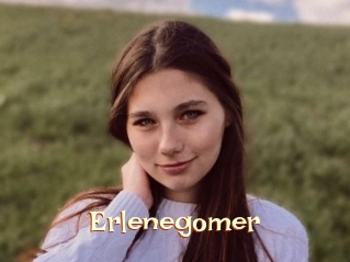 Erlenegomer