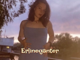 Erlineganter