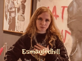 Esmagledhill