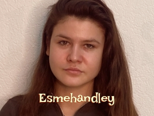 Esmehandley