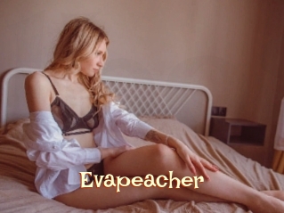 Evapeacher