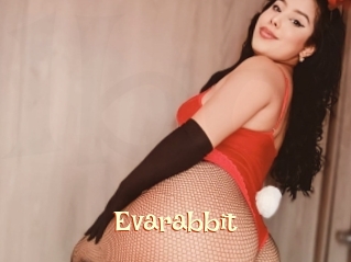 Evarabbit