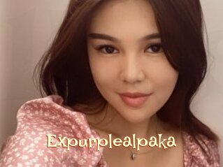 Expurplealpaka
