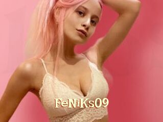 FeNiKs09