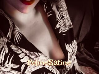 FelineSatine