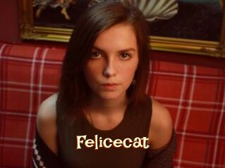 Felicecat