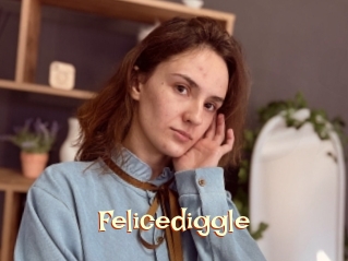 Felicediggle